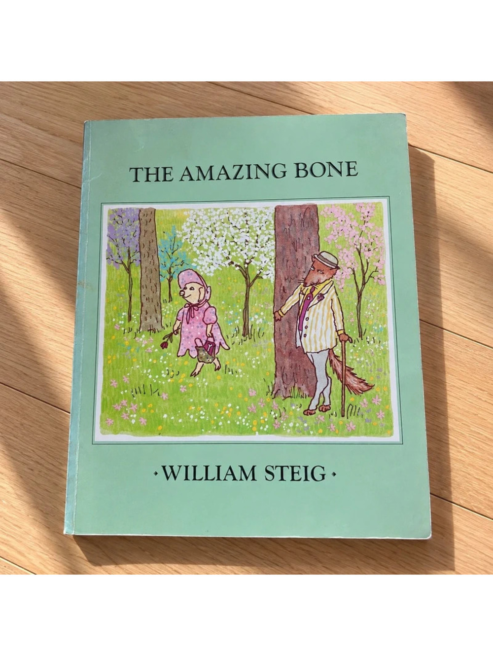 The Amazing Bone William Steig 1993 Reading Rainbow Caldecott Kids Book